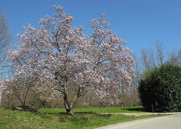 Villa Montello Pool, Jacuzzi, Ac, Wifi, Treviso Volpago del Montello