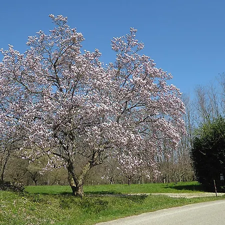 Villa Montello Pool, Jacuzzi, Ac, Wifi, Treviso Volpago del Montello